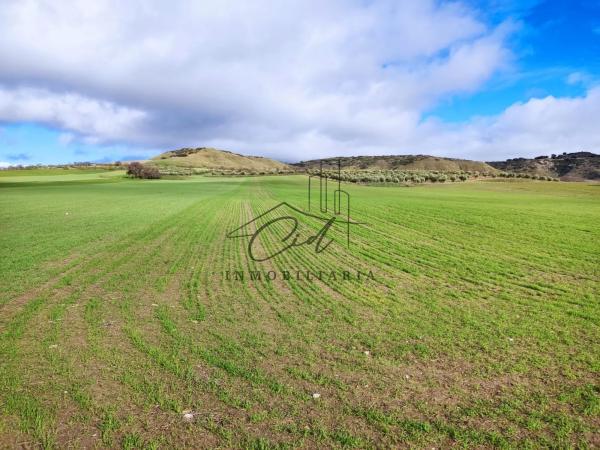 Terreno en camino de Alcalá s/n