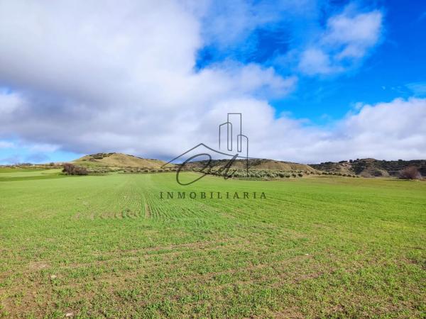 Terreno en camino de Alcalá s/n