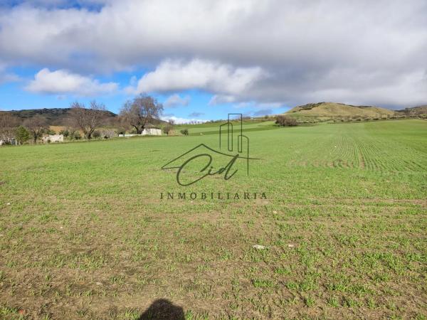 Terreno en camino de Alcalá s/n