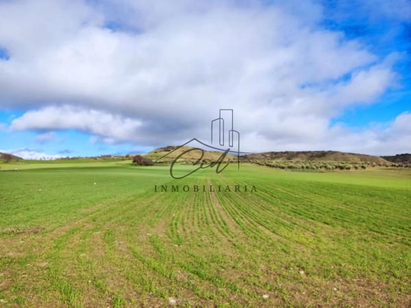 Terreno en camino de Alcalá s/n