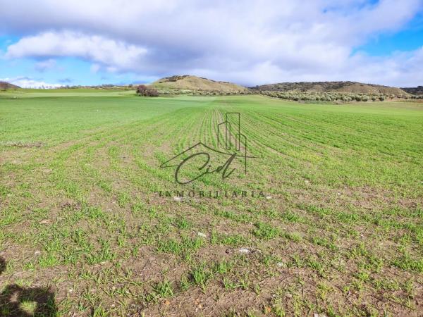 Terreno en camino de Alcalá s/n