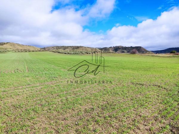 Terreno en camino de Alcalá s/n