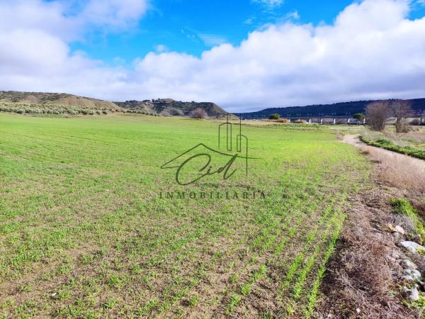 Terreno en camino de Alcalá s/n