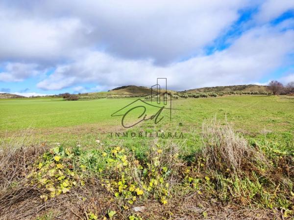 Terreno en camino de Alcalá s/n
