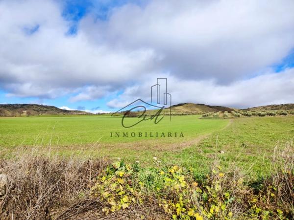 Terreno en camino de Alcalá s/n