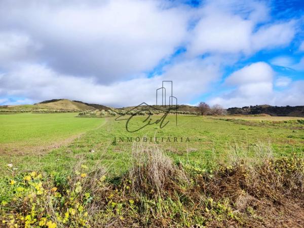 Terreno en camino de Alcalá s/n