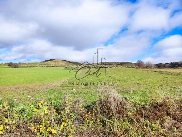 Terreno en camino de Alcalá s/n