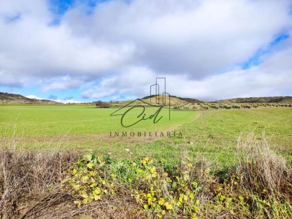Terreno en camino de Alcalá s/n