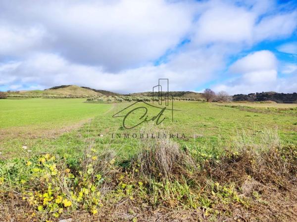 Terreno en camino de Alcalá s/n