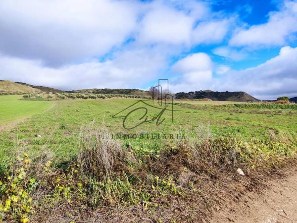 Terreno en camino de Alcalá s/n