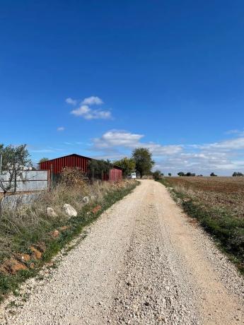 Terreno en camino de Guadalajara s/n