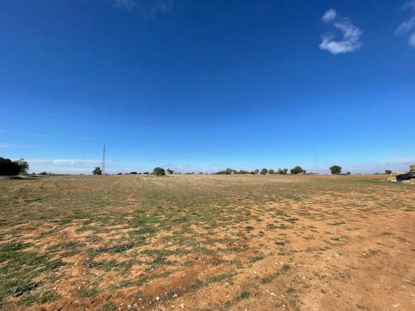Terreno en camino de Guadalajara s/n