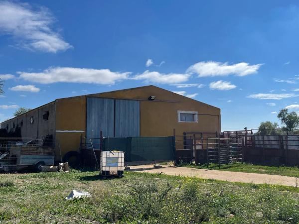 Terreno en camino de Guadalajara s/n