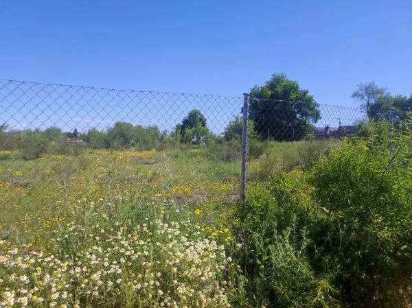 Terreno en calle de las Adelfas, 100 -4