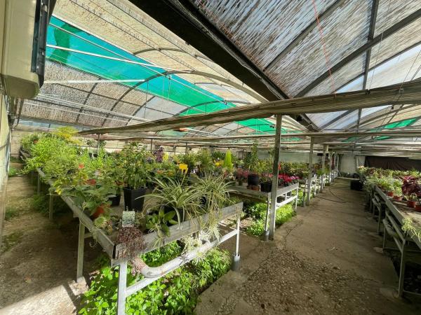 Terreno en avenida Madrid