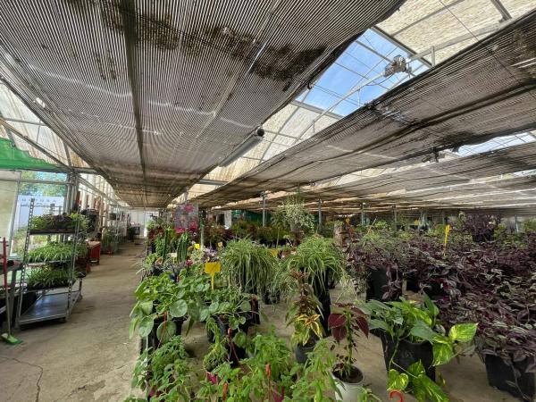 Terreno en avenida Madrid