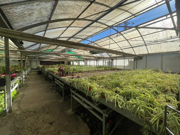 Terreno en avenida Madrid