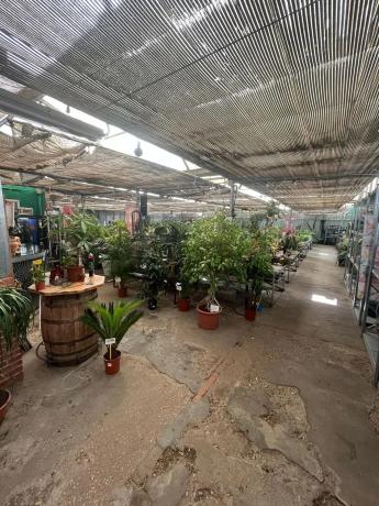 Terreno en avenida Madrid