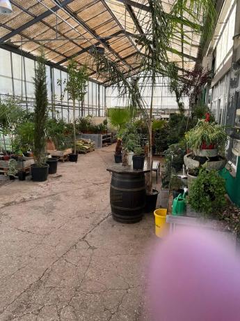 Terreno en avenida Madrid