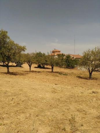 Terreno en calle del verderón, 28
