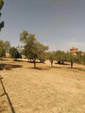 Terreno en calle del verderón, 28