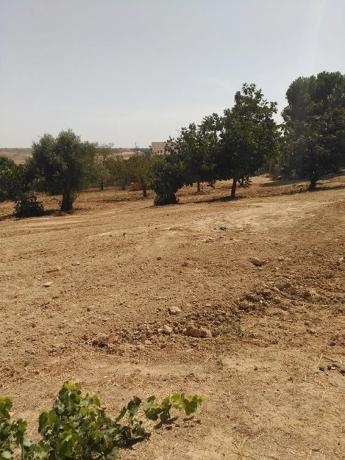 Terreno en calle del verderón, 28