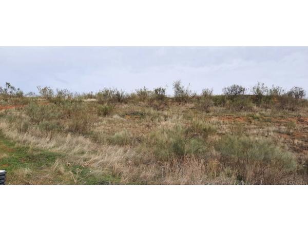 Terreno en Camarma de Esteruelas