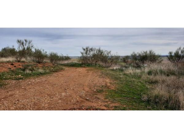 Terreno en Camarma de Esteruelas