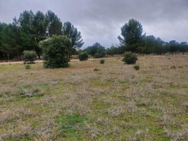 Terreno en Villalbilla