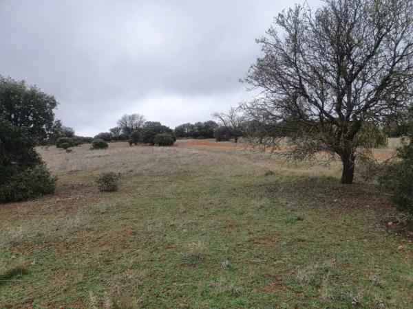 Terreno en Villalbilla