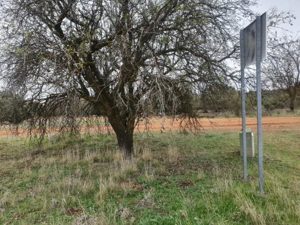Terreno en Villalbilla