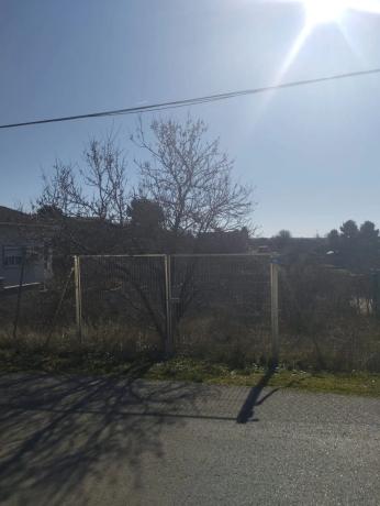 Terreno en calle de las Amapolas, 51