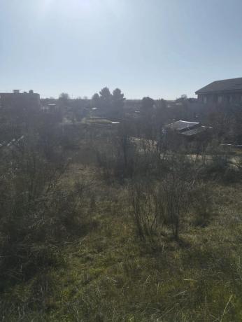 Terreno en calle de las Amapolas, 51