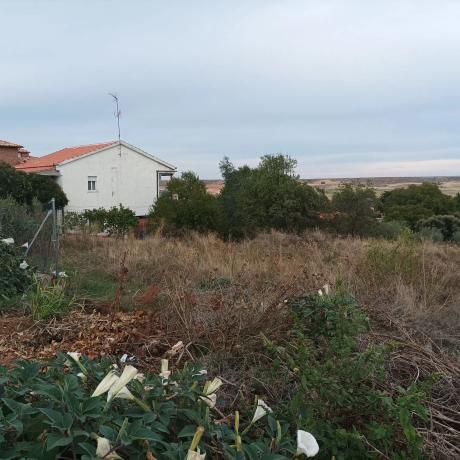Terreno en calle la Tórtola, 10