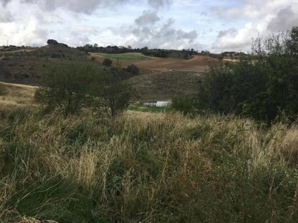 Terreno en calle la Olivilla