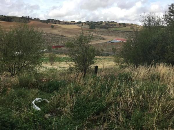 Terreno en calle la Olivilla