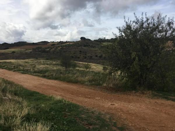 Terreno en calle la Olivilla