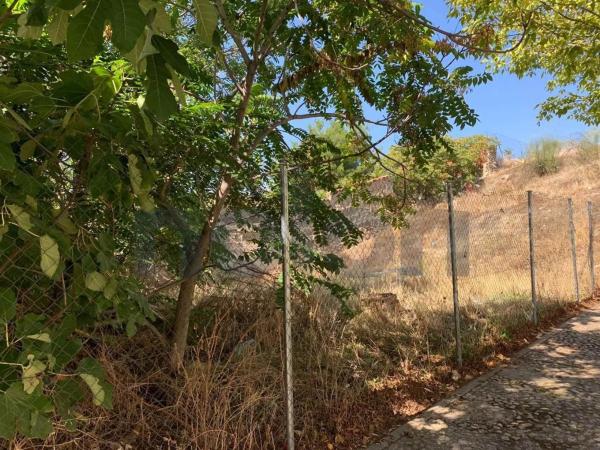 Terreno en calle Antonio Canella Peirole