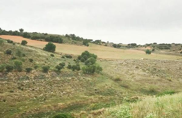 Terreno en calle la Olivilla