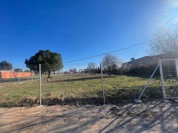 Terreno en camino de Alcala, 98  (185-6)