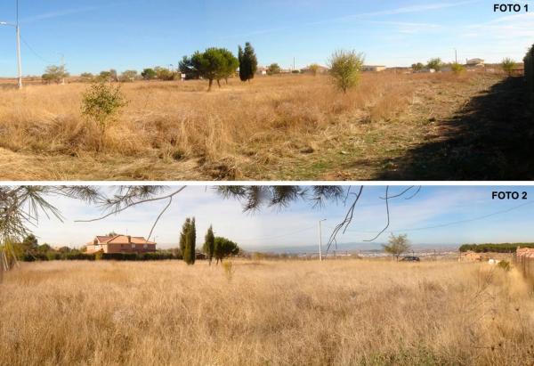 Terreno en camino de Alcala, 98  (185-6)