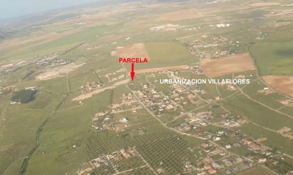 Terreno en camino de Alcala, 98  (185-6)