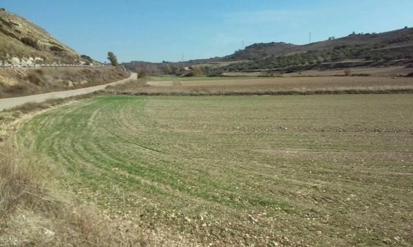 Terreno en carretera m225 s/n