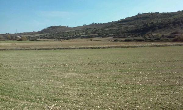 Terreno en carretera m225 s/n