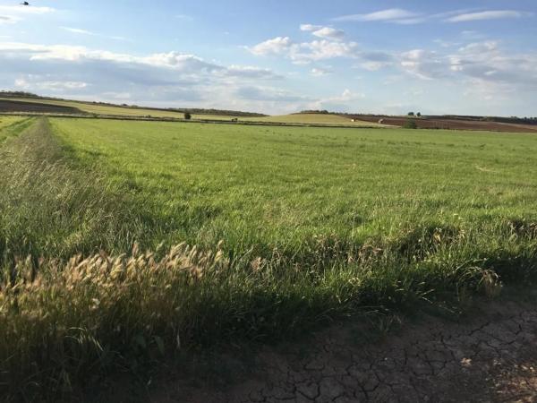 Terreno en M-121, km 121