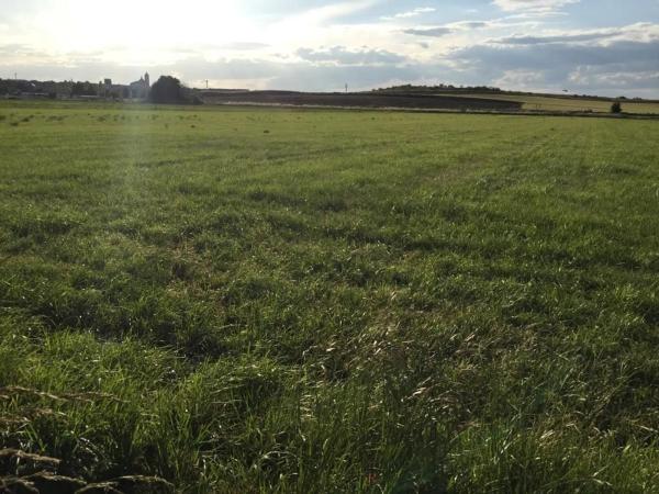 Terreno en M-121, km 121