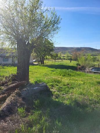 Terreno en calle del Doctor Anchuelo, km 1