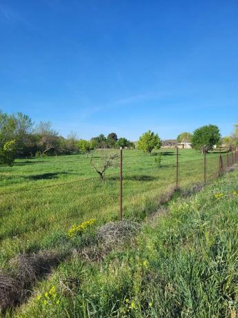 Terreno en calle del Doctor Anchuelo, km 1