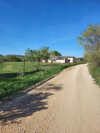 Terreno en calle del Doctor Anchuelo, km 1