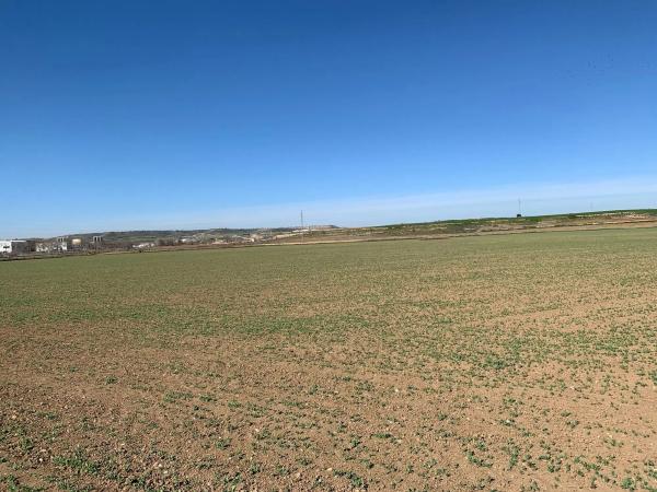 Terreno en m 225, km 2